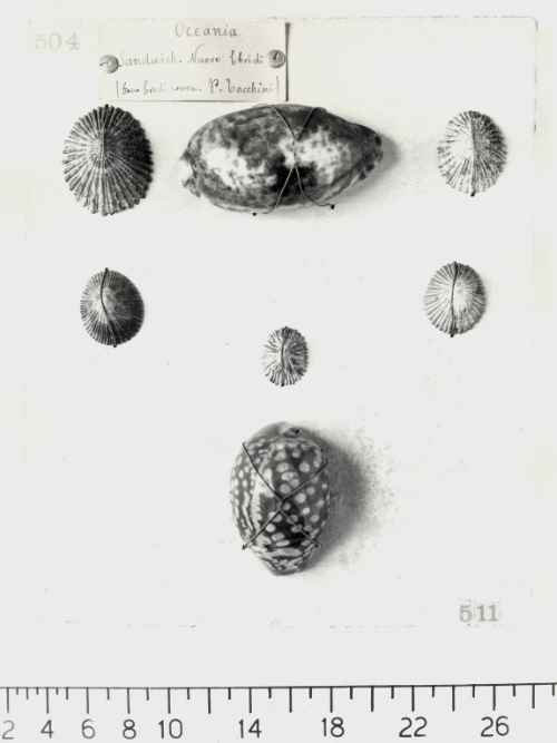 thumbs/bdm/xw/002056-med.jpg