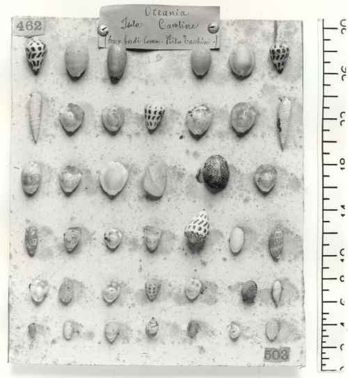 thumbs/bdm/xw/002058-med.jpg