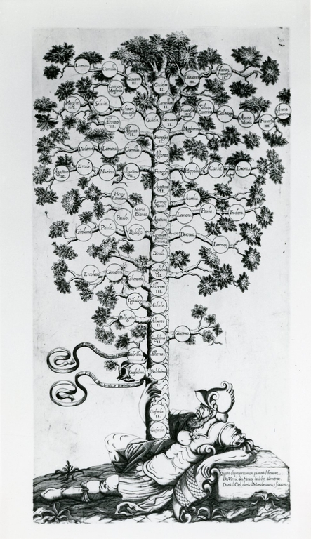 thumbs/ferrara/fe053/fe053_01/Fig.91-med.jpg