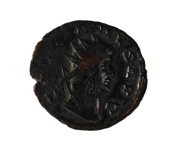 thumbs//ravenna/classens/schede_NU/rep_13/MO1292a-med.JPG