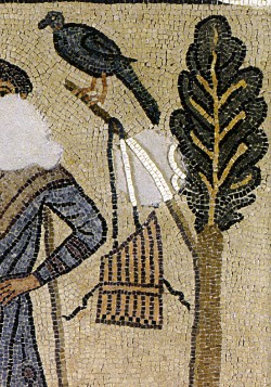 La Domus dei Tappeti di Pietra: un tesoro da scoprire - Ravenna Turismo